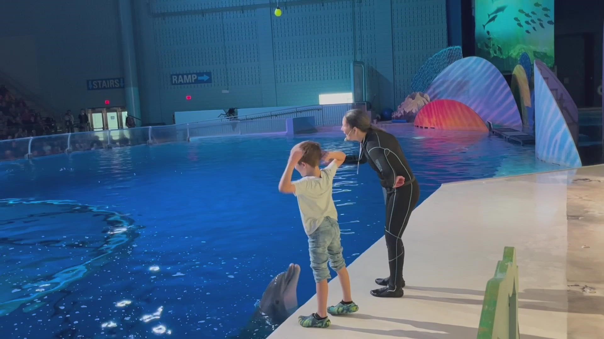 U.S. Navy Petty Officer First Class Joe Thomas surprised his 9-year-old son during a dolphin presentation at the Indianapolis Zoo on Saturday, Oct. 8.