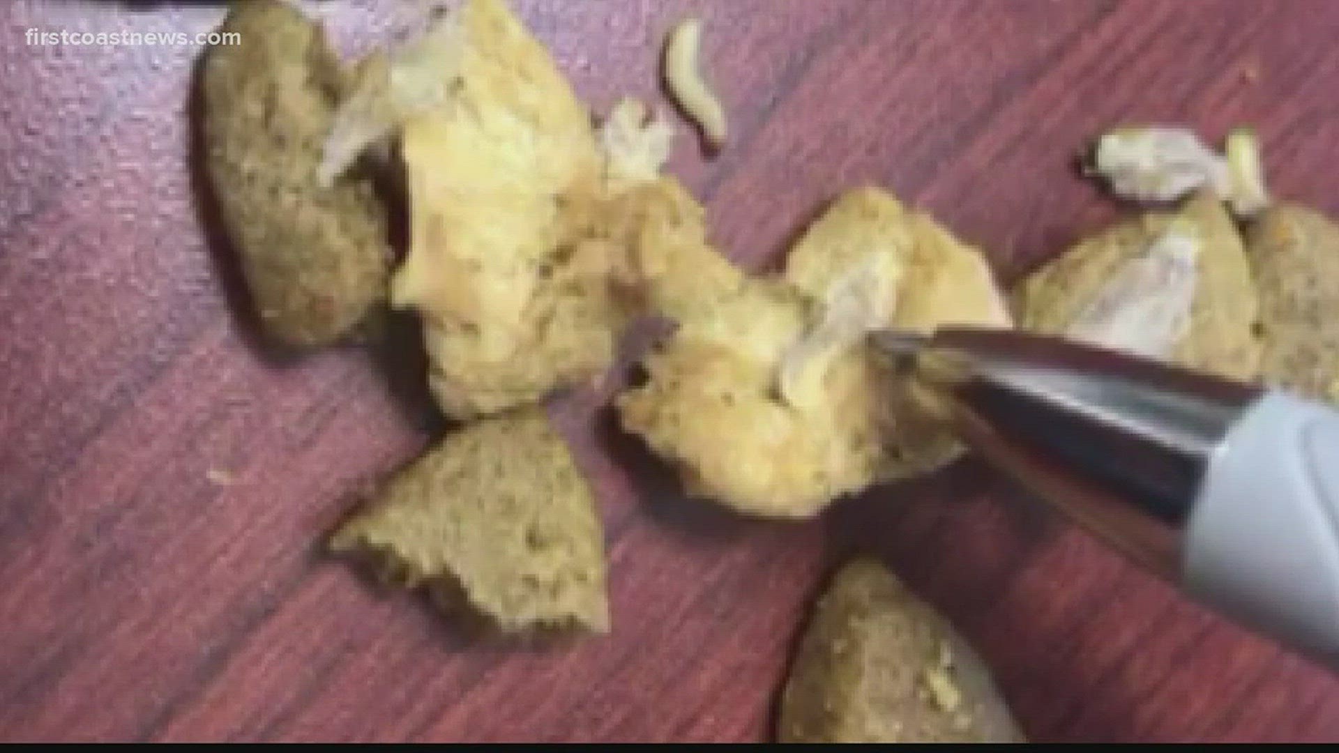 Florida man finds 'maggots' in dog food