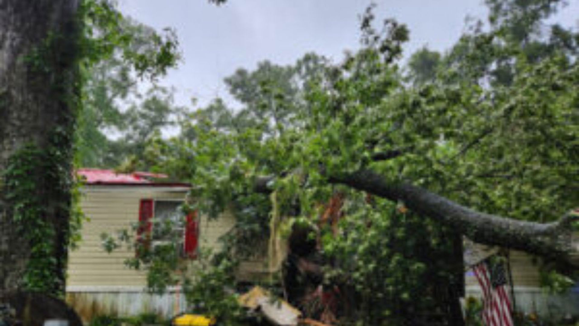 The officers responded to a mobile home Monday that had been crushed by a tree.