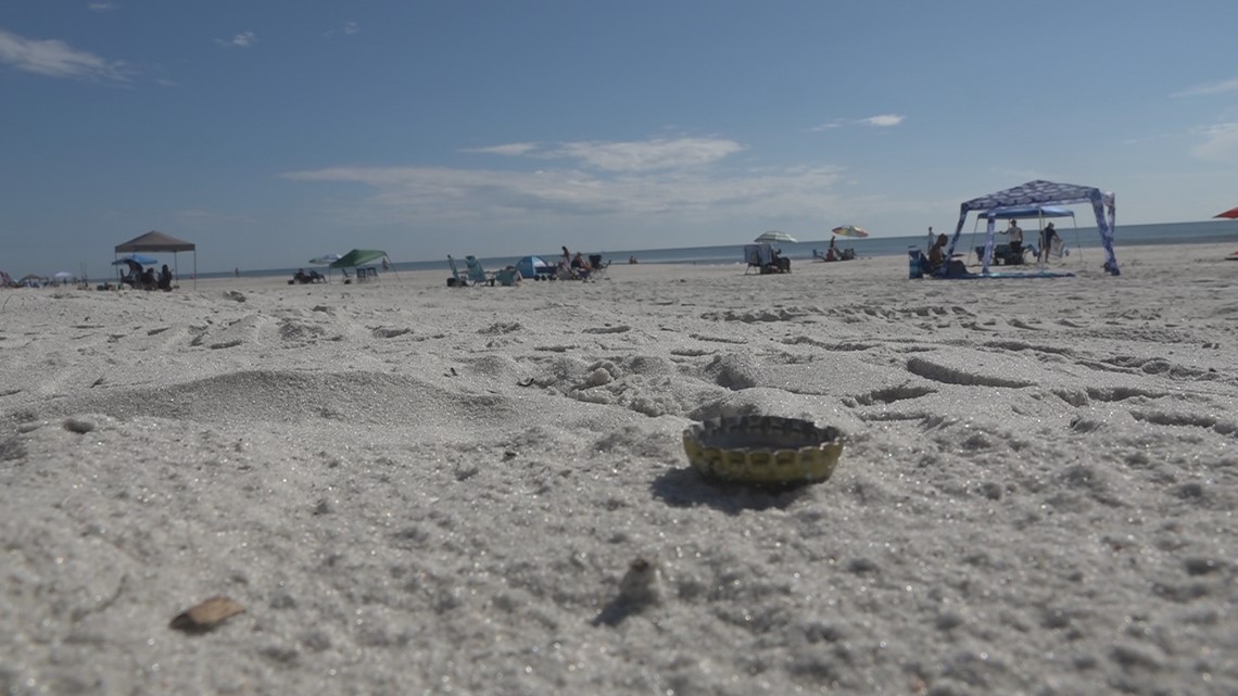 Hundreds of Keep Pinellas Beautiful volunteers to clean up - Vimarsana News