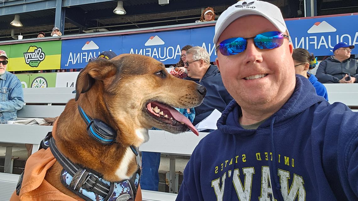 Navy veteran's search ends as missing service dog is found in Jacksonville