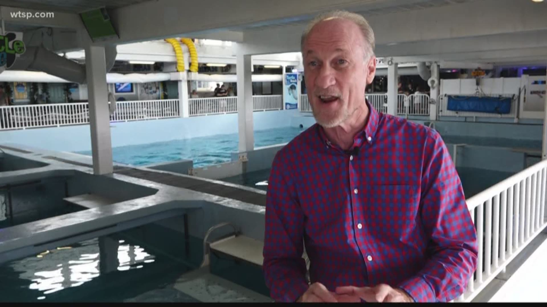 David Yates helped turn Winter's inspirational story into a beloved movie and transformed Clearwater Marine Aquarium into a tourism destination.