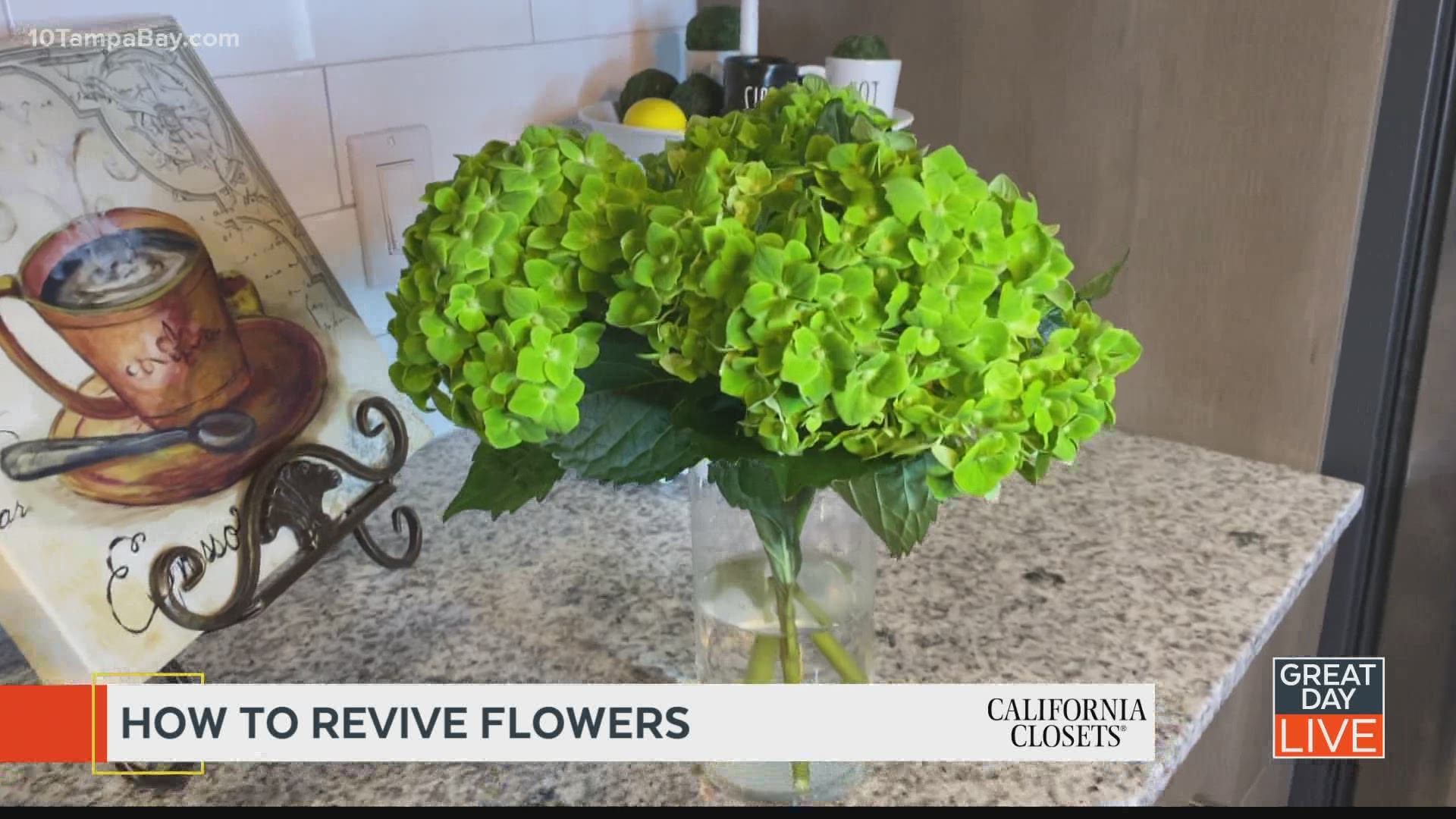 Host Help: How to revive flowers.
