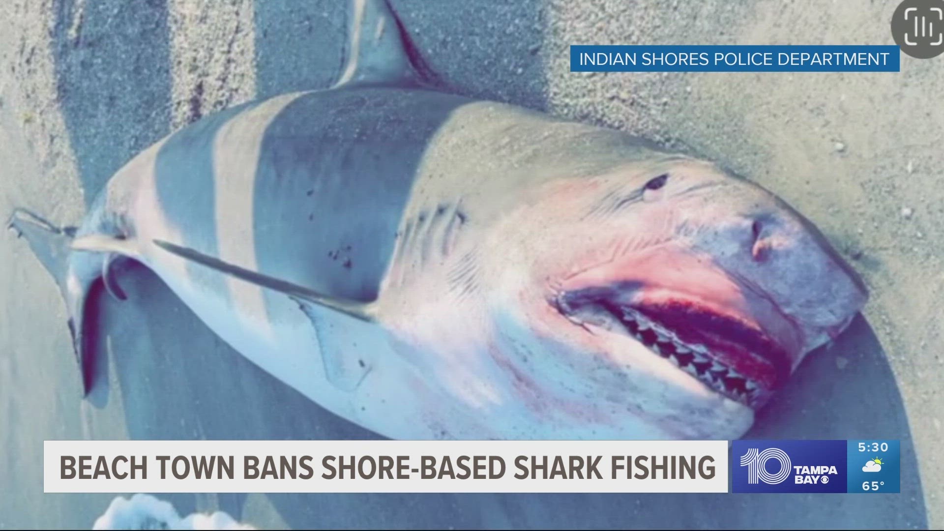 Shore-based shark fishing banned in Redington Shores