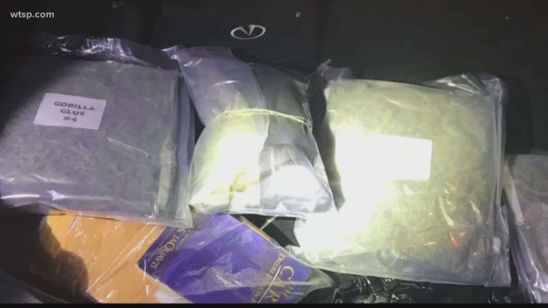 A Hillsborough County deputy was in for quite a surprise when he pulled over a man who drove through a stop sign. He said he found a large bag full of drugs inside the car.