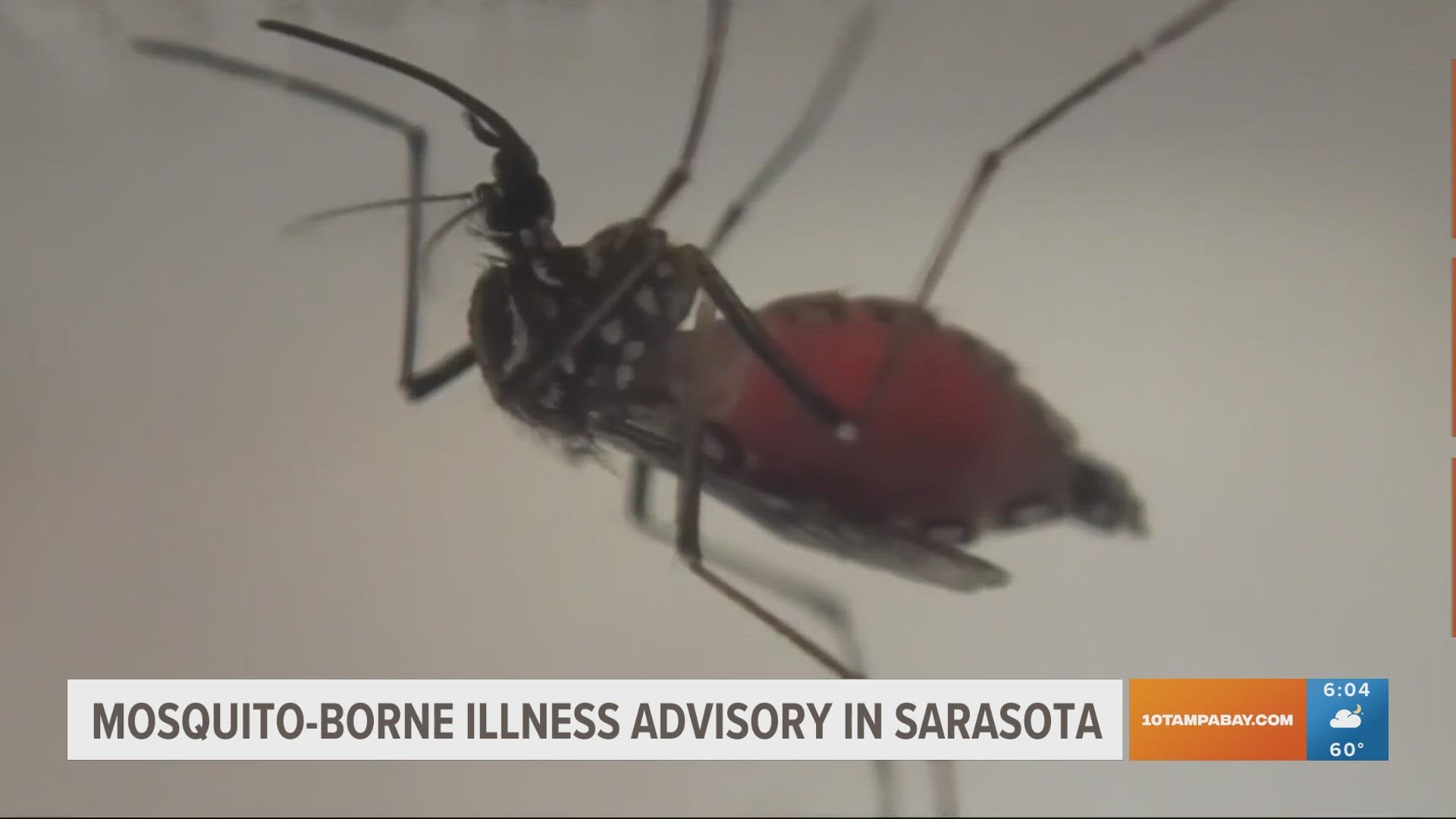 A September case of West Nile virus has prompted health officials to issue a mosquito-borne illness warning in Sarasota County