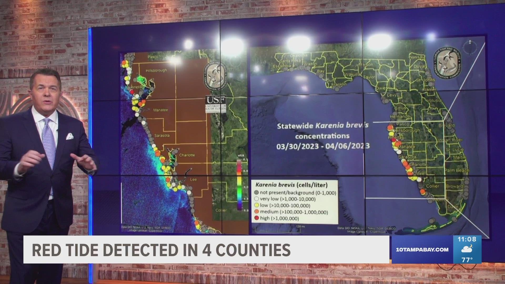 According to FWC, respiratory irritations suspected to be connected to red tide were reported in Pinellas, Manatee and Sarasota counties.