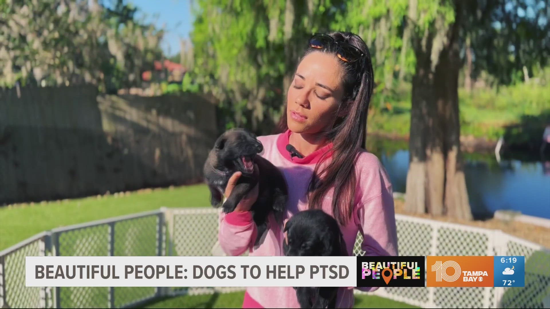 Brianna Holzerland trains protection dogs but has been giving away puppies to veterans suffering from PTSD. There's still time to nominate a veteran.