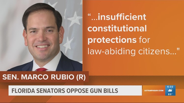 Bipartisan gun reform bill passes in Senate despite opposition from Florida senators