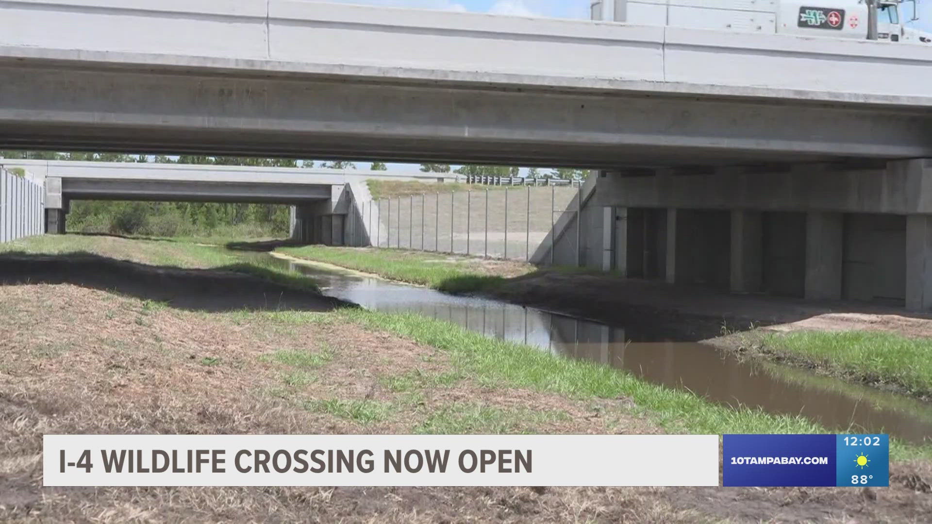 The Florida Department of Transportations opened a one-of-a-kind wildlife crossing to allow animals to cross underneath I-4.