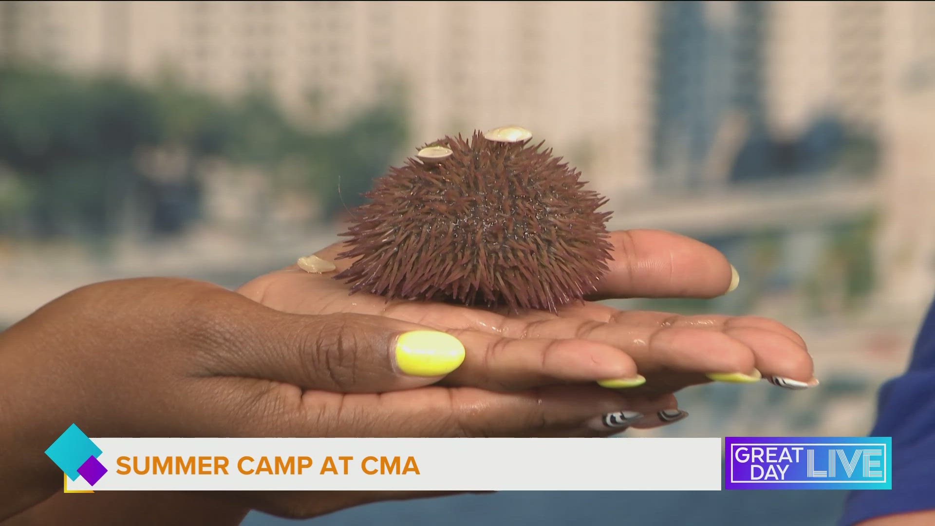 The camps at the Clearwater Marine Aquarium gets kids in the water to learn more about marine life. Scholarships are available to those who need them.