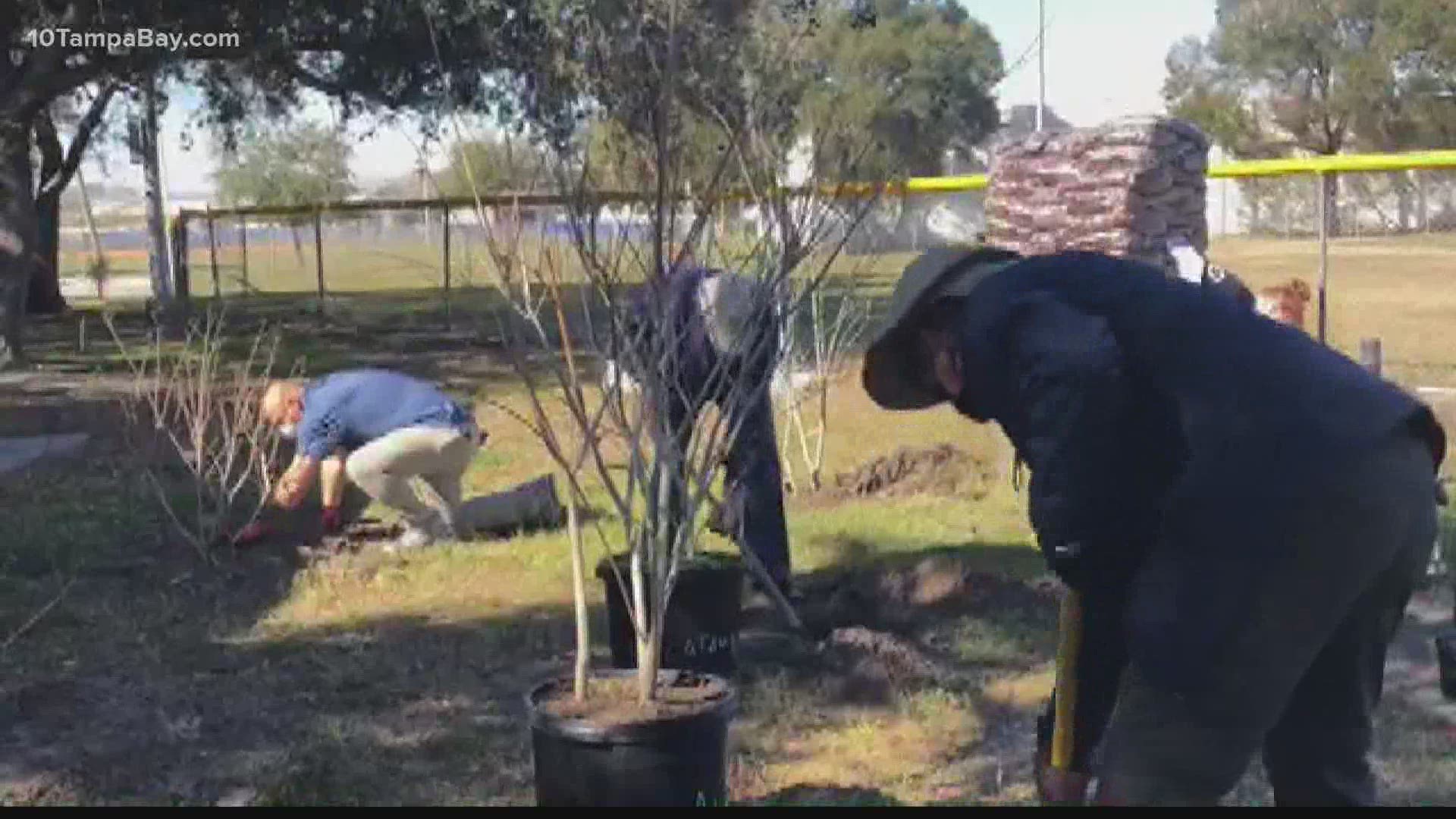 A brand new pollinator garden was installed just a couple of miles away from Raymond James Stadium at Wellswood Park.
