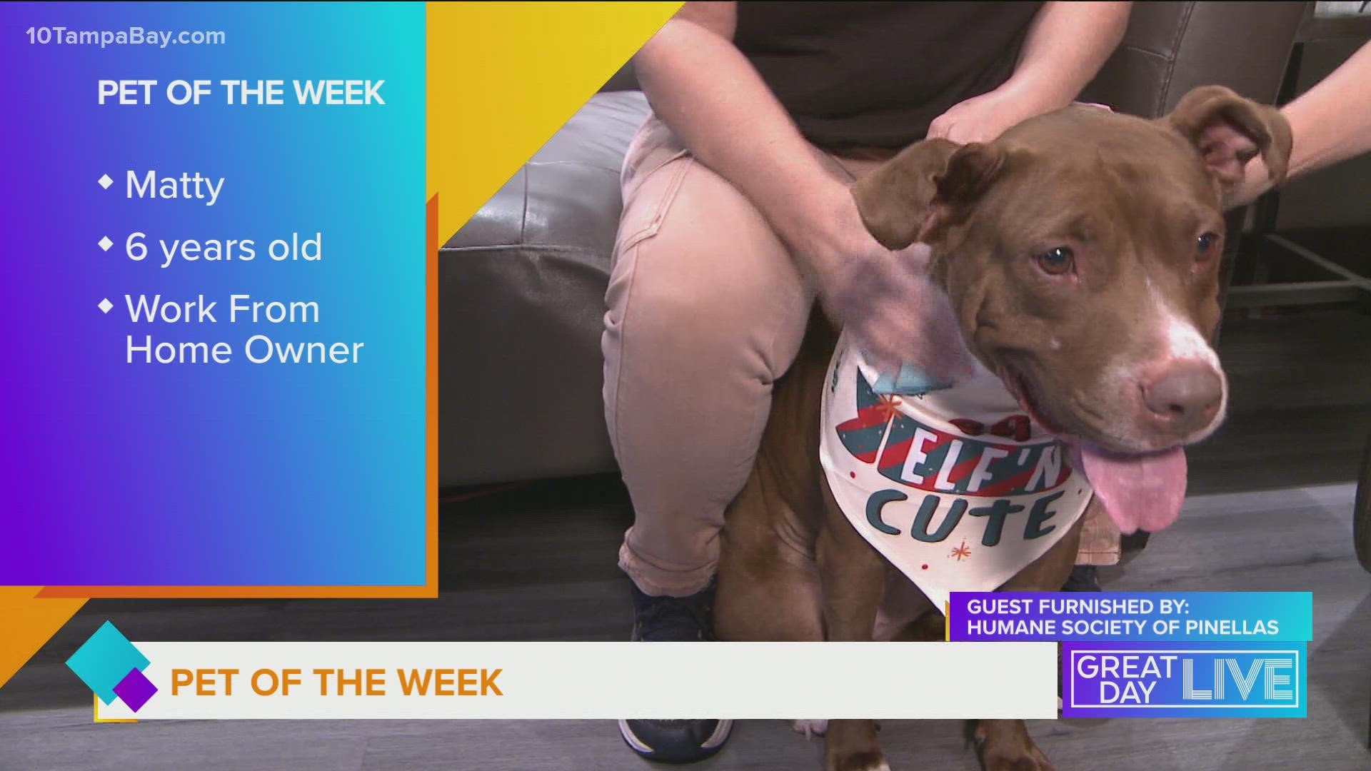 Pet of the Week