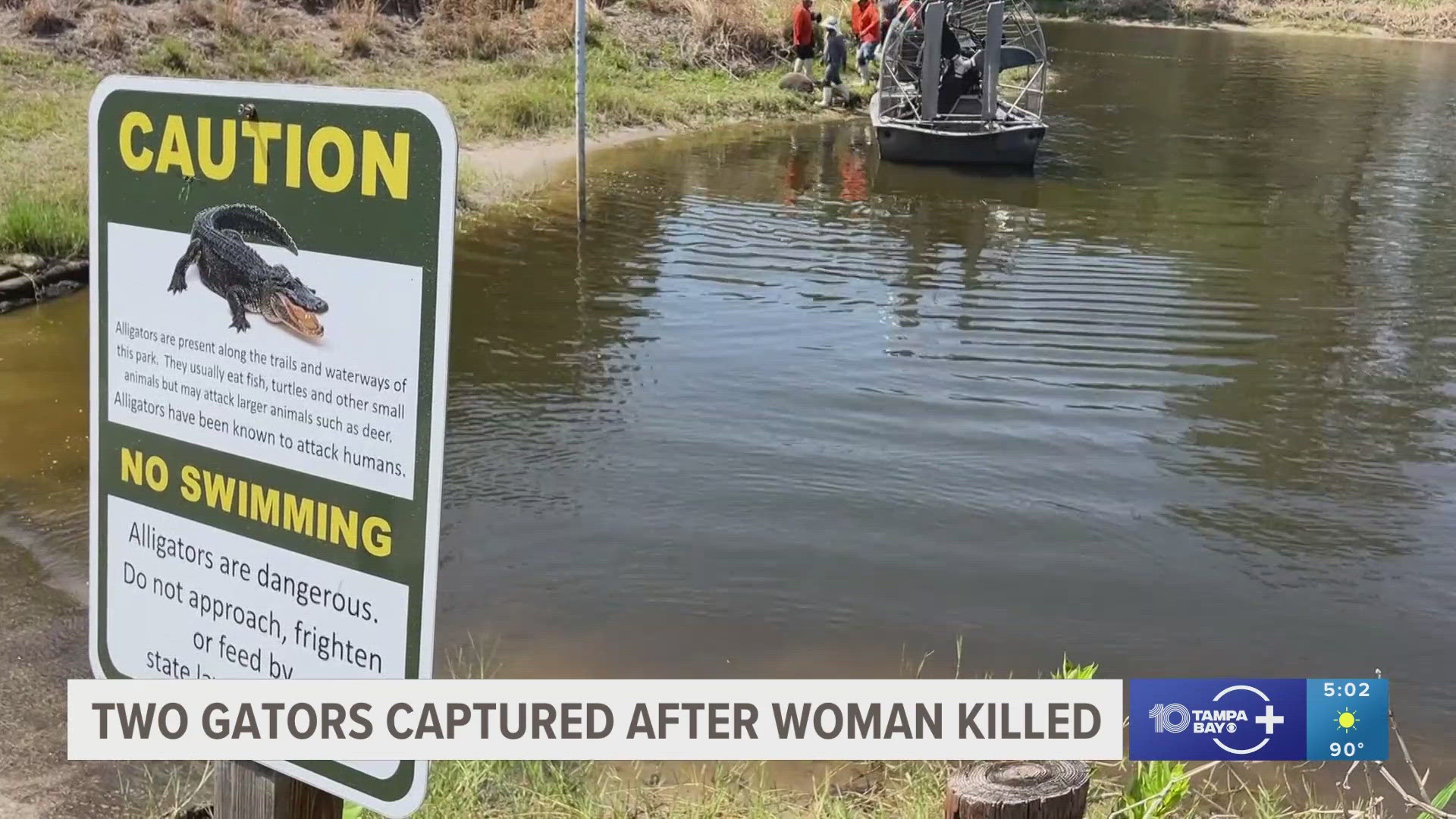 Two gators captured after woman killed while canoeing in a Florida lake ...