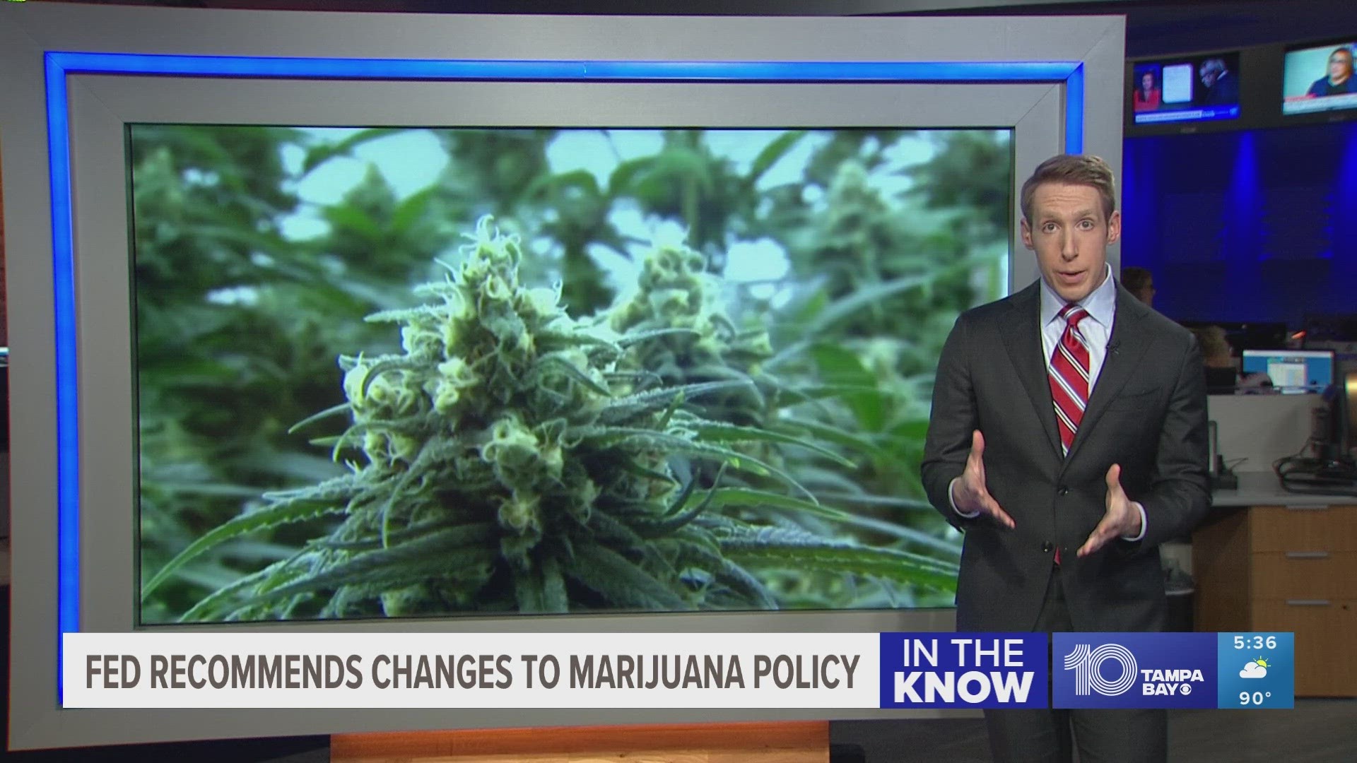 HHS Recommends Easing Marijuana Restrictions | Wtsp.com