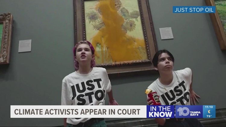 Activists charged after soup thrown at Van Gogh painting