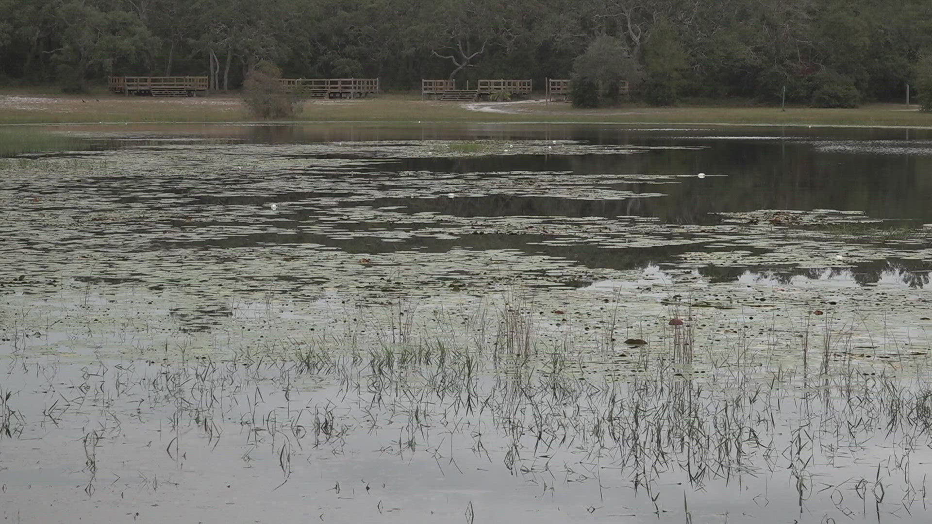 Roughly $9,000 from Tampa Bay Water helped the Girl Scouts to create this unique learning experience.