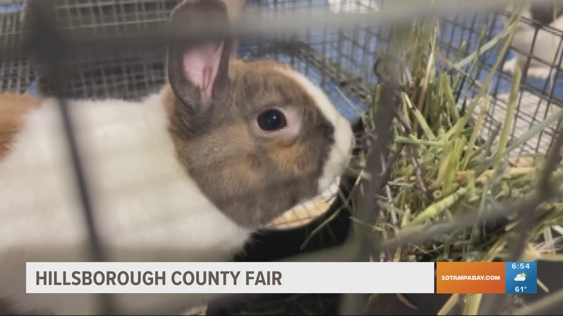 Details about the fair which will be open all next week through November 12.