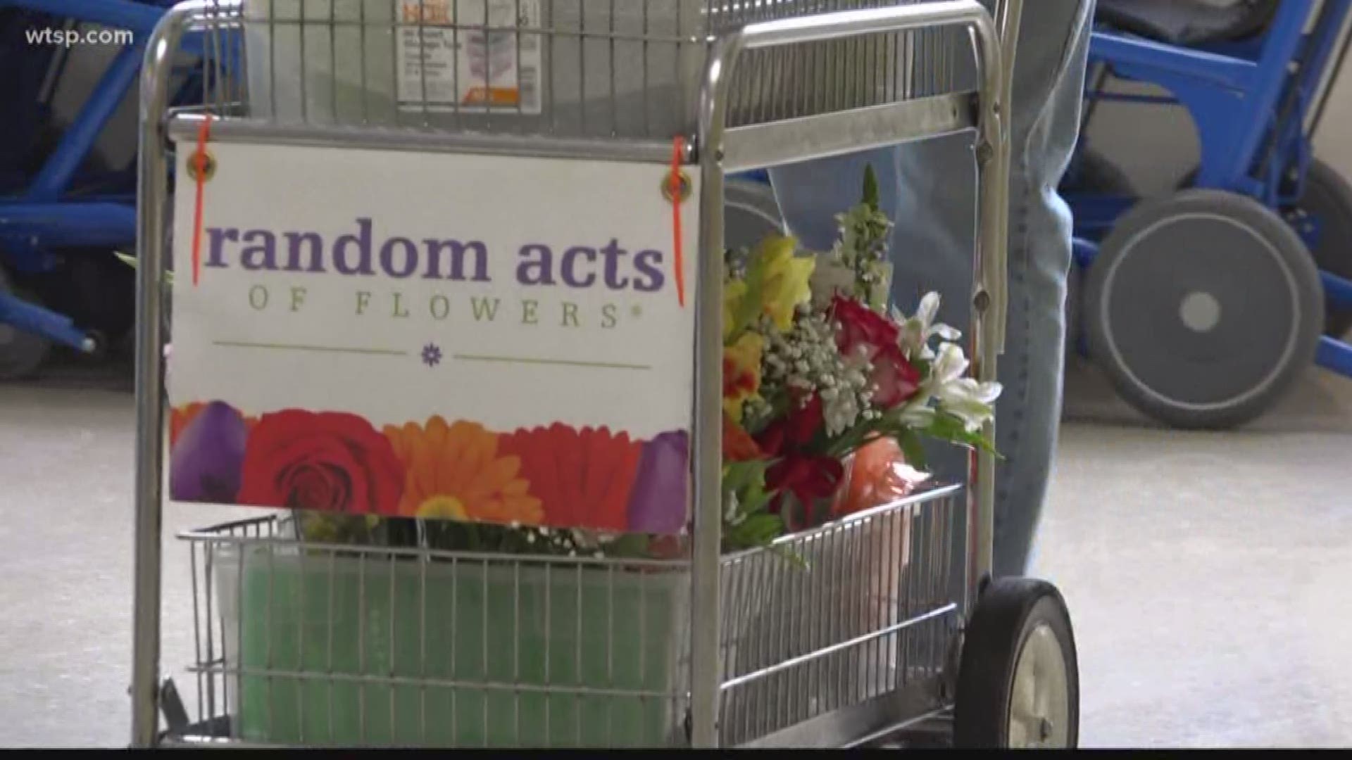 “Every day I come in, it’s a joy,” explained Monica Kok, the Director of Mission Fulfillment for the Tampa Bay chapter of Random Acts of Flowers.

The non-profit’s Tampa-area outreach has refurbished and delivered exactly 85,019 bouquets since 2013, according to its website. The big milestone on Thursday was the 7,500th vase directly given to a local veteran. https://on.wtsp.com/2P0SZlt