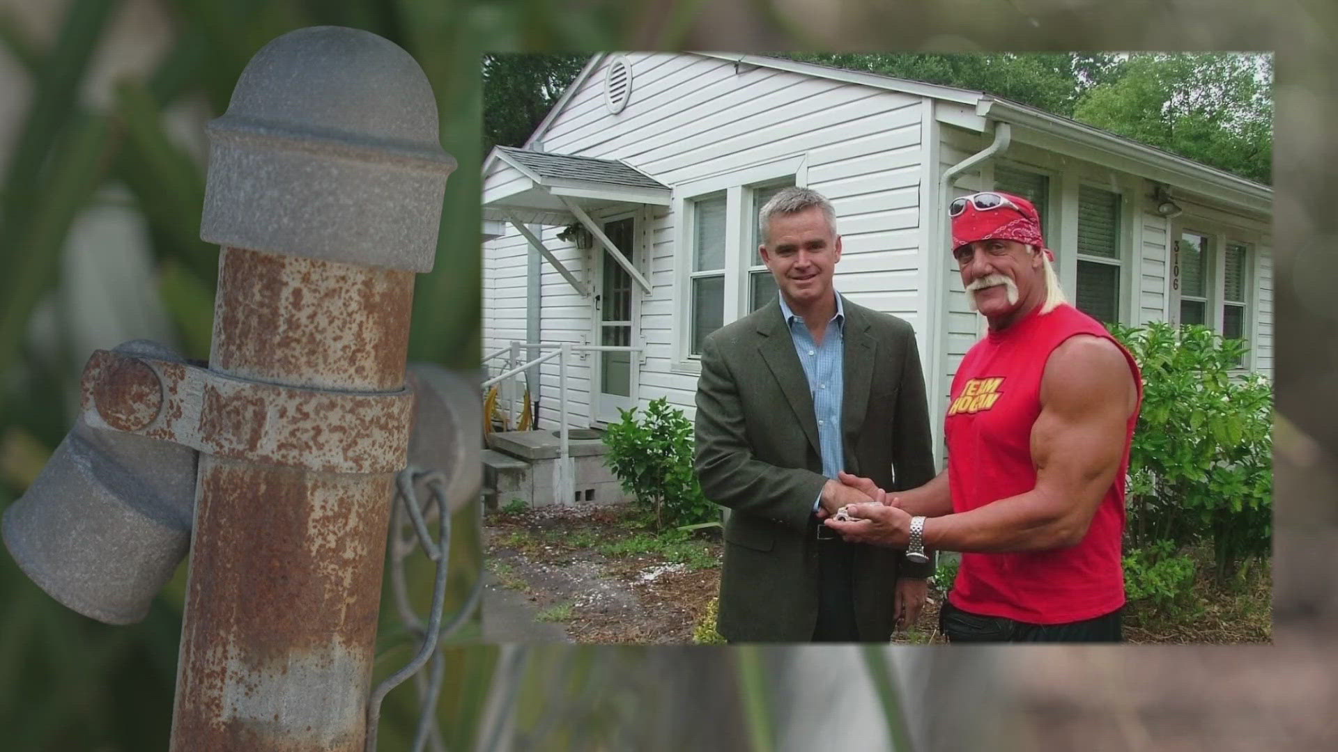 Terry Bollea, also known as Hulk Hogan, grew up in a home near Gandy Boulevard and South MacDill Avenue.