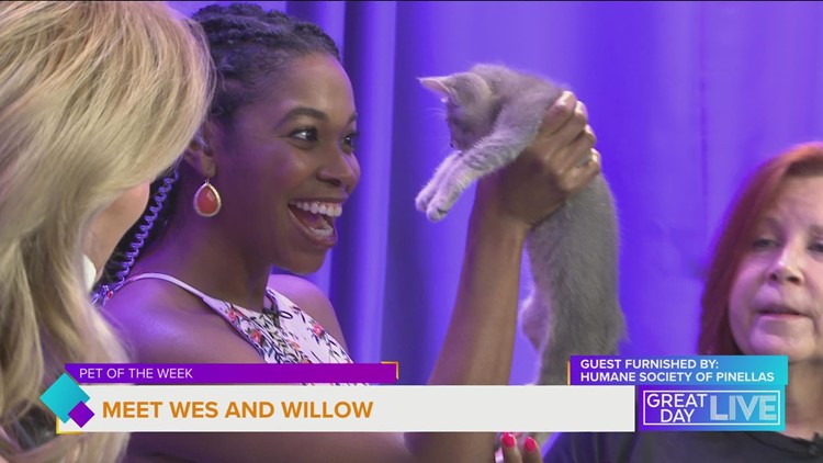Pets of the Week: Wes and Willow