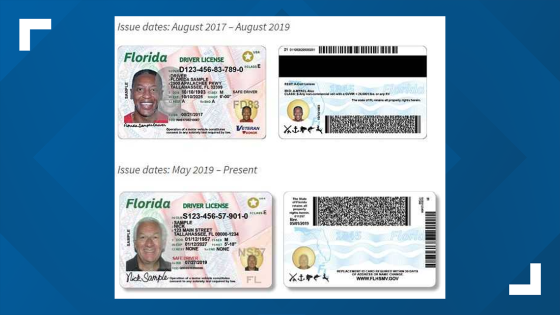 my florida drivers license check