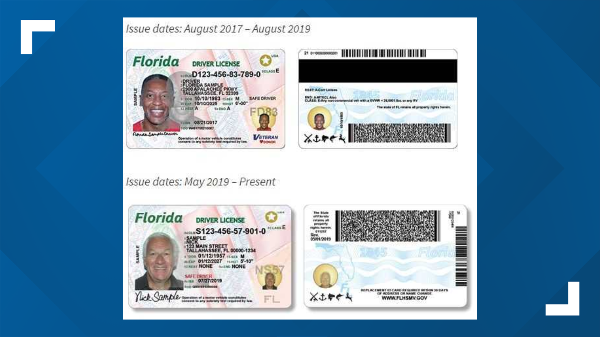 florida drivers license status