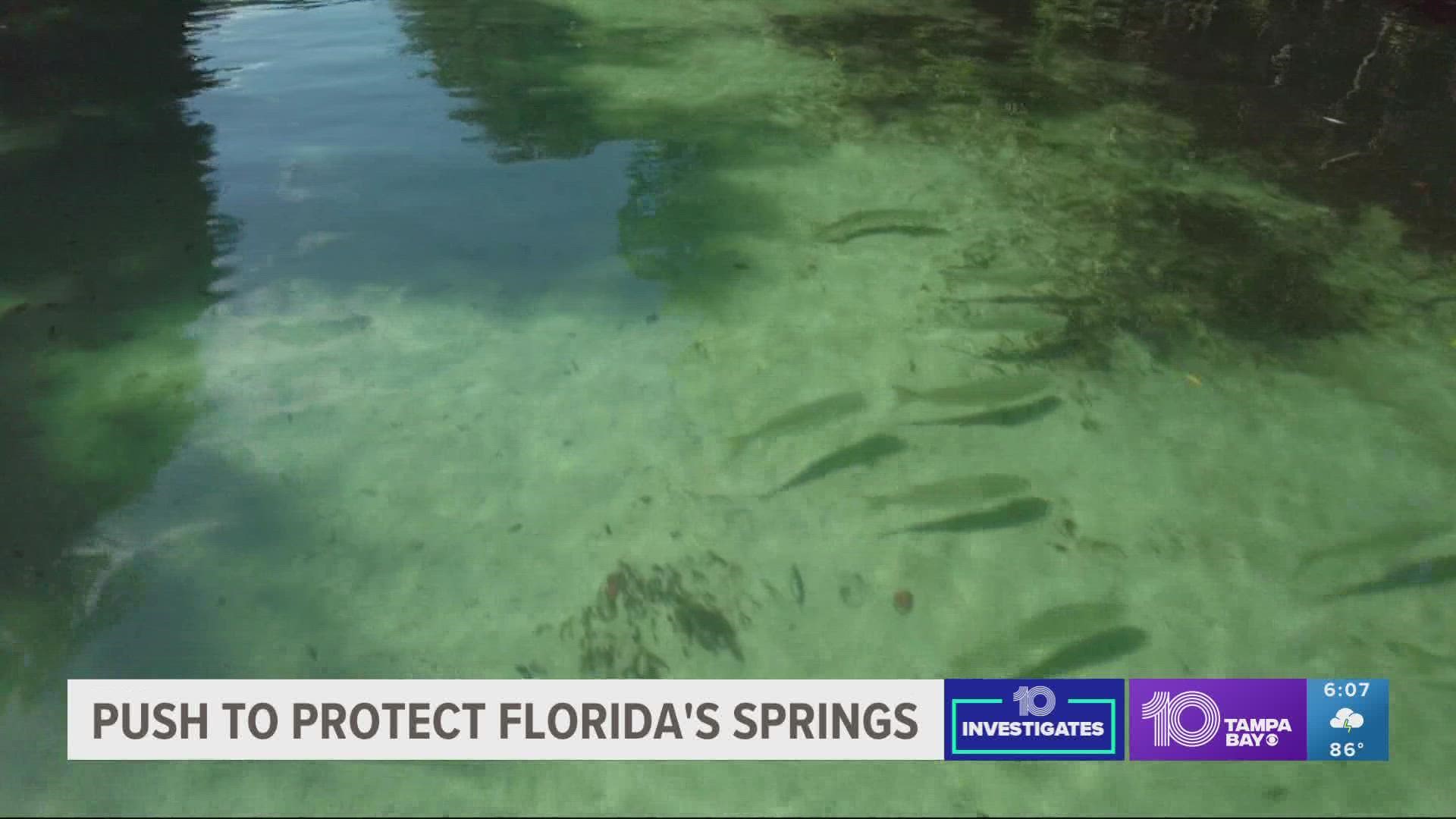 Florida has the highest concentration of freshwater springs in the entire world, but the crystal-clear oases are at risk.