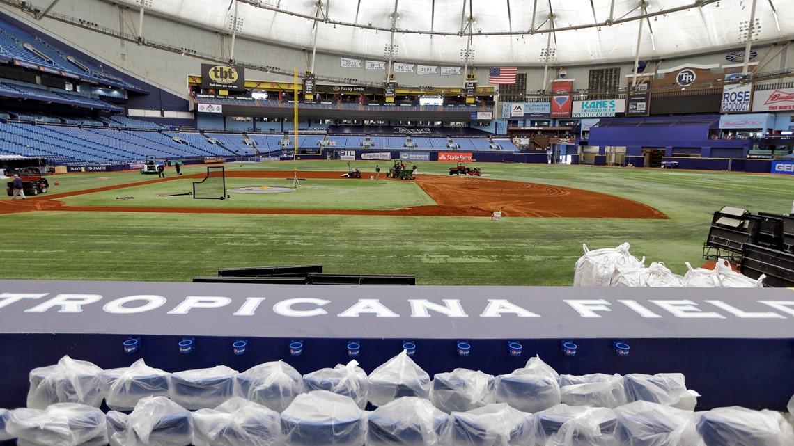 Touching the Rays at Tropicana Field, Florida