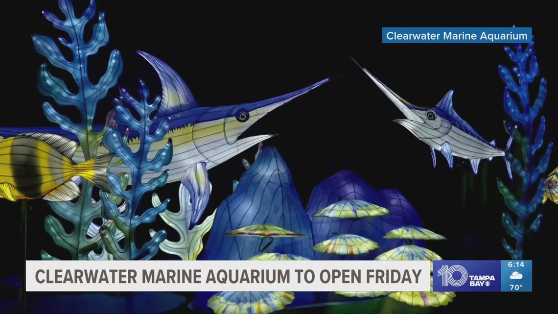 Clearwater Marine Aquarium reopening with new light show