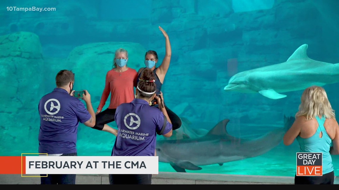 February at Clearwater Marine Aquarium - Vimarsana News