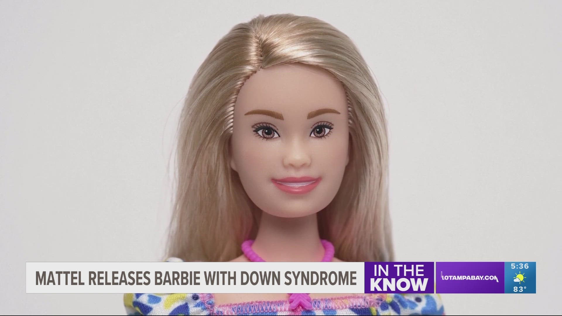 Mattel worked with the National Down Syndrome Society to design a new face, body and outfit for the doll.