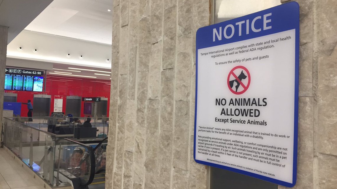 are dog allowed in airports