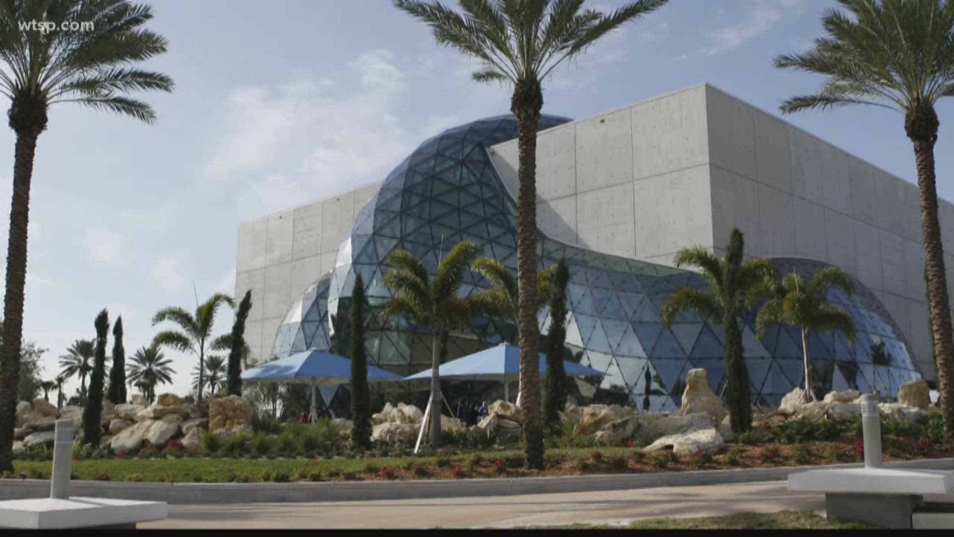 The museum is looking for $17.5 million for the project from Pinellas County.