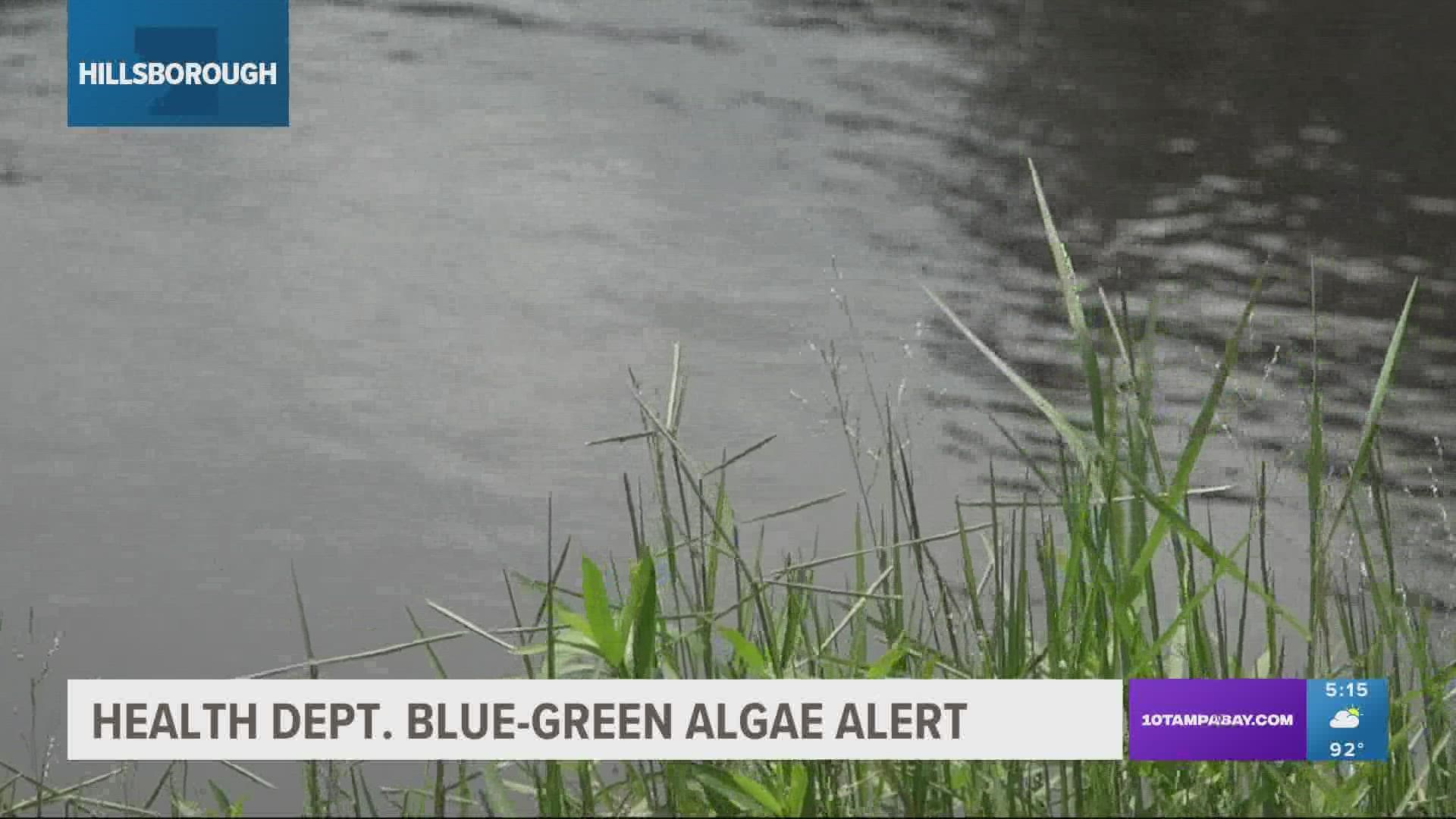 Health officials advise people to not swim in the water where bloom is visible.