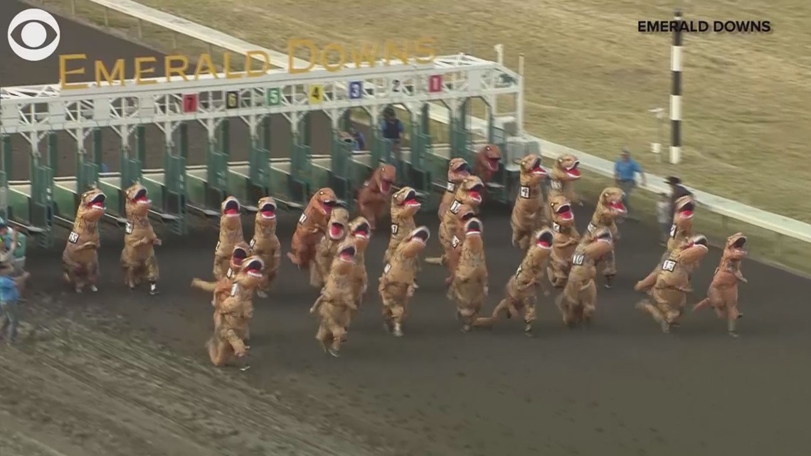 T. Rex. race at Emerald Downs track is pretty epic