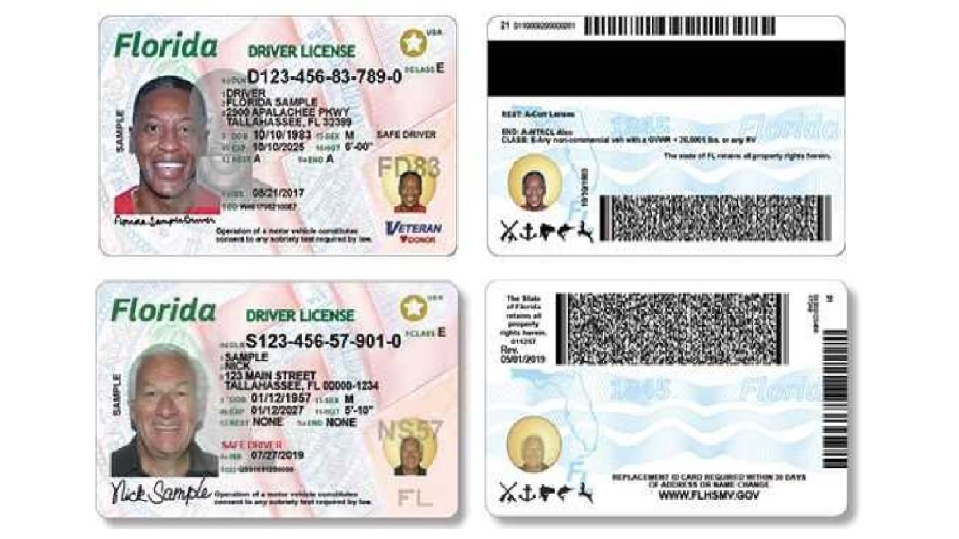 dmv fl driver license check