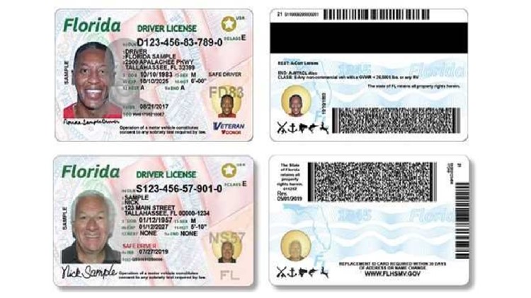 florida dmv license status