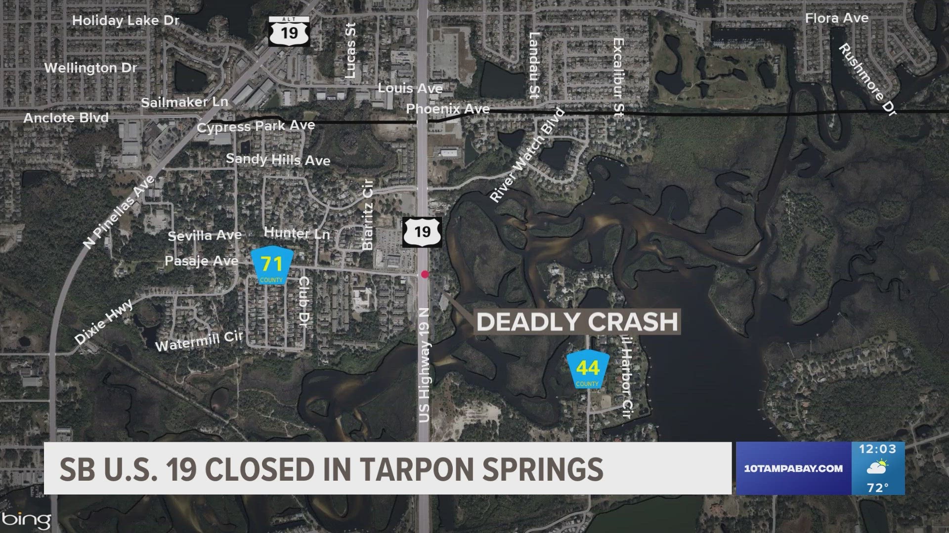People who may have witnessed the crash are asked to call the Tarpon Springs Police Department.