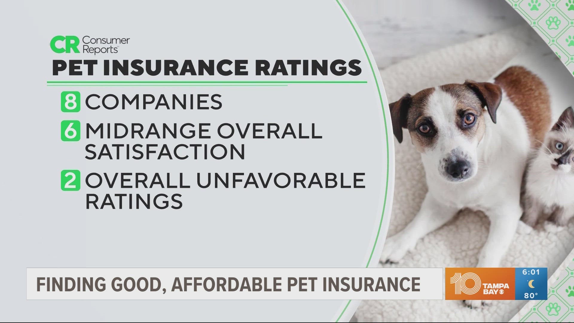 There are different options for pet owners to save money on pet insurance.