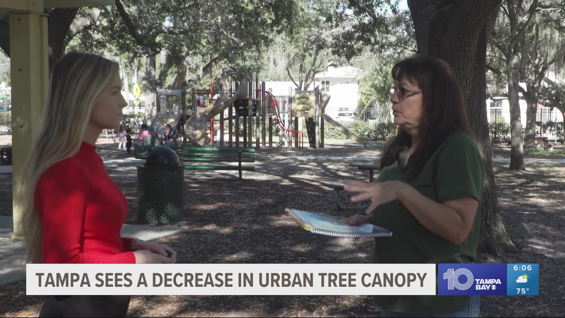 Advocates with the Tampa Tree Advocacy Group say due to development, Tampa is seeing a critical decline in the urban tree canopy.