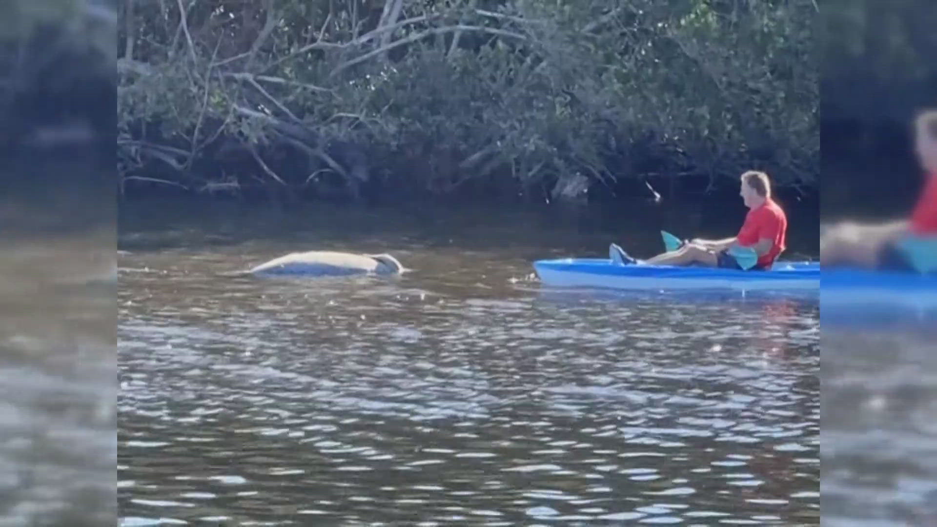 Florida wildlife officials completed a necropsy — an animal autopsy — and shared the results on Monday.