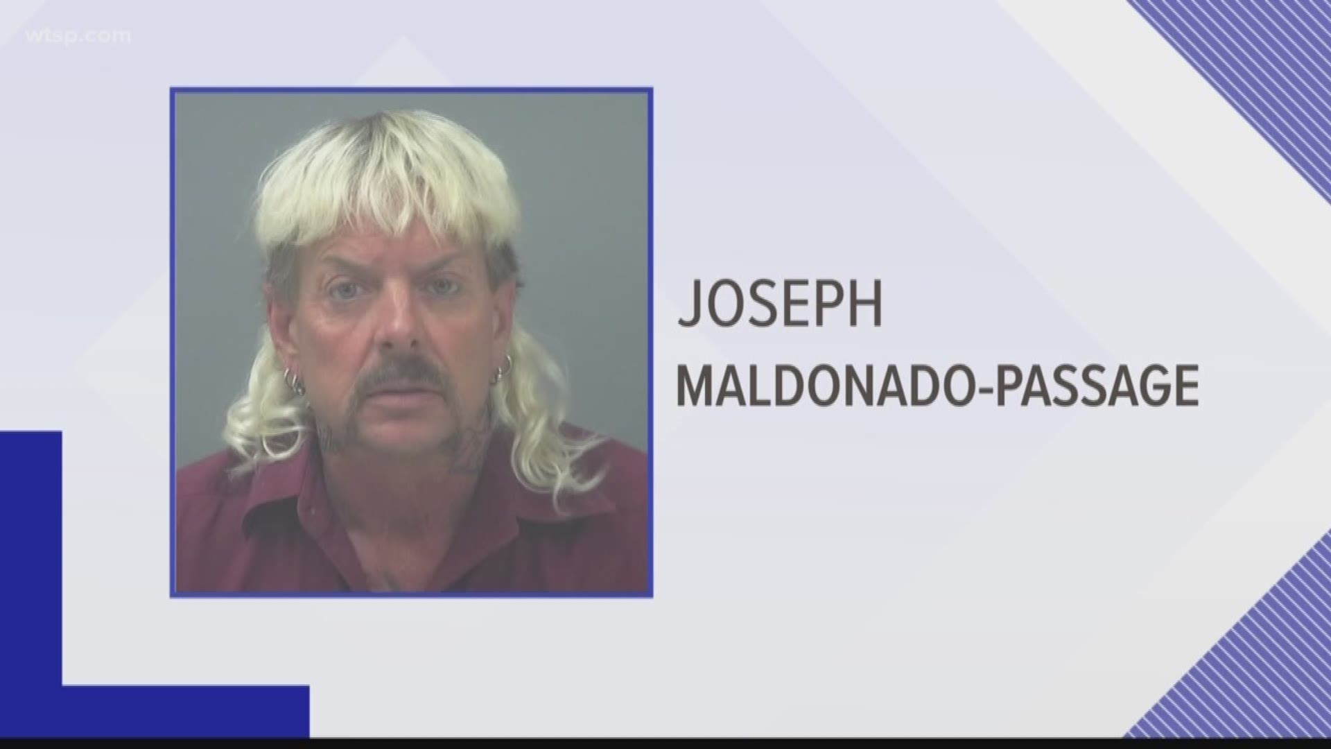 Joseph Maldonado-Passage was angry because of the criticism the Tampa woman leveled at him for his treatment of animals.