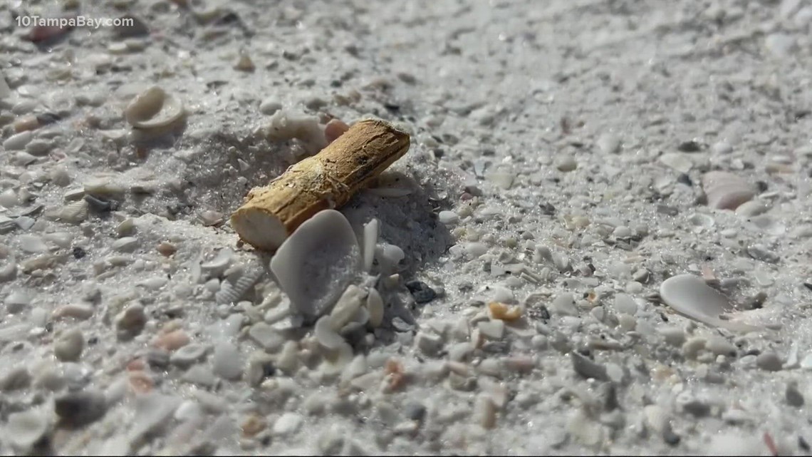 Smoking banned at public beaches, parks in Sarasota County - Vimarsana News
