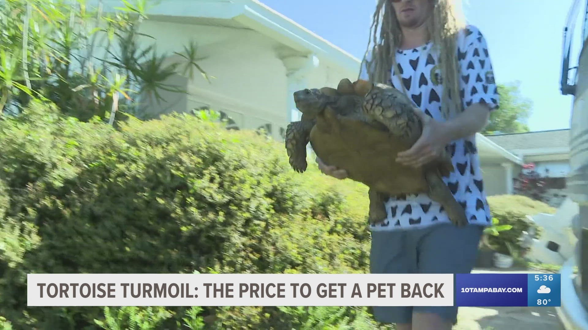 The saga began when Merrick Westlund says he came home from work to find his beloved 18-year-old tortoise was missing.