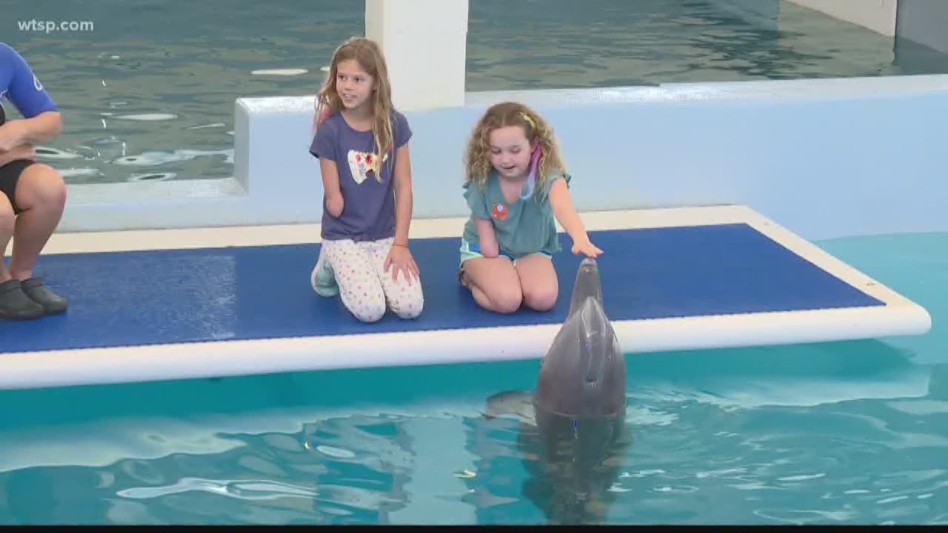 Clearwater Marine Aquarium hosted children from Camp No Limits - 17846be0 C2c0 4363 B3ef 3664b957044b 1920x1080