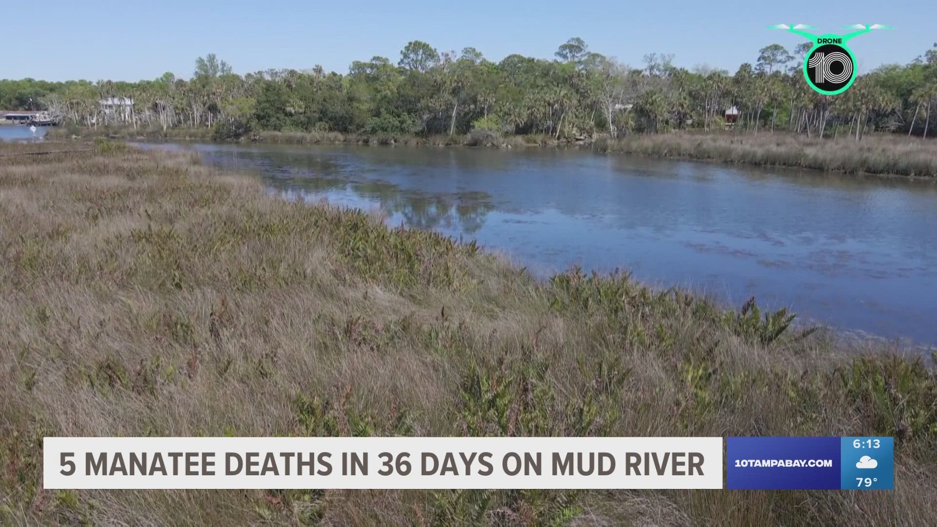 Those who live along the river say they are saddened by the manatee deaths, but they are not surprised due to the lack of sea grass and other challenges.