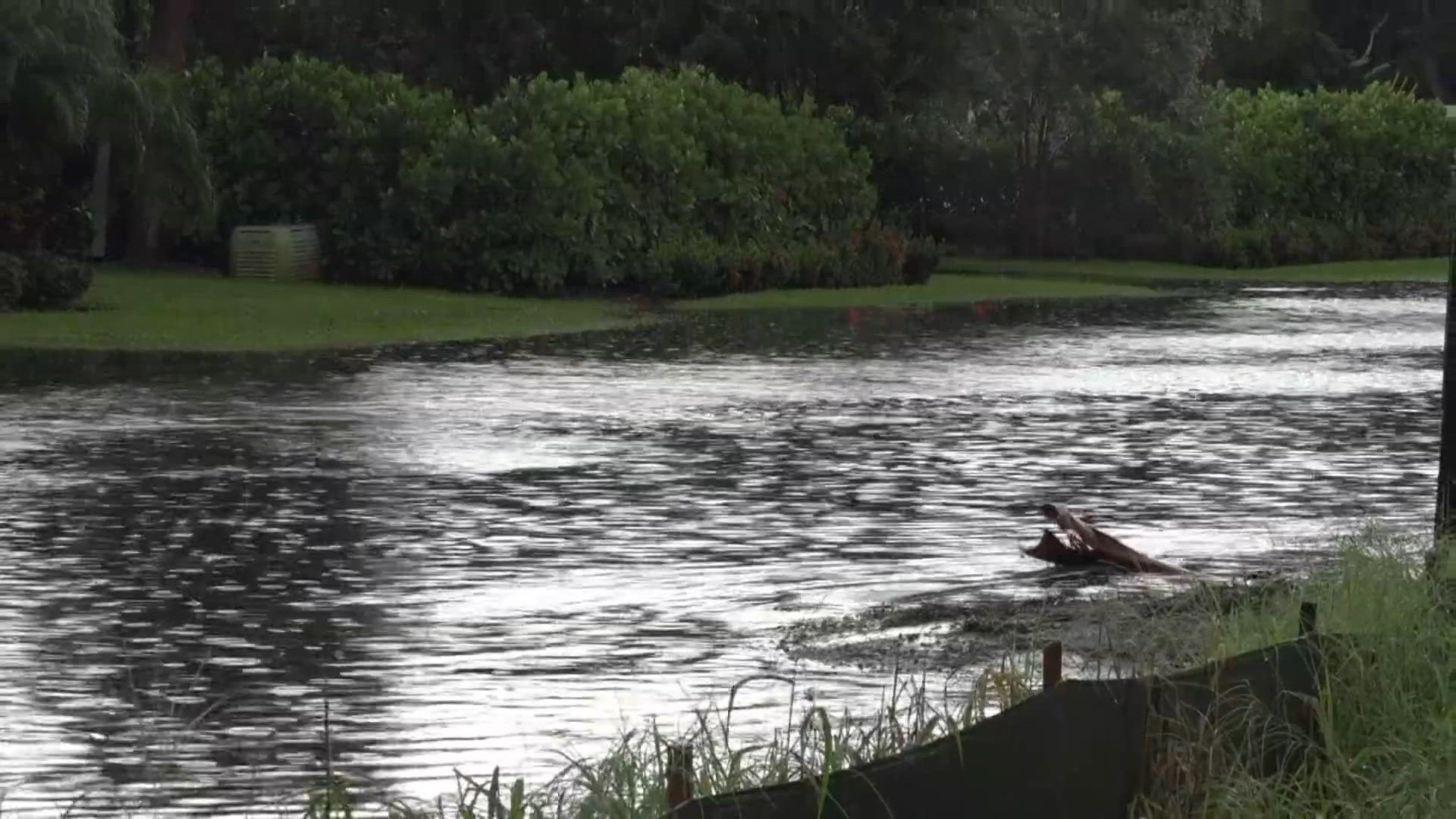 Why today’s rain isn’t enough to end Tampa Bay’s drought