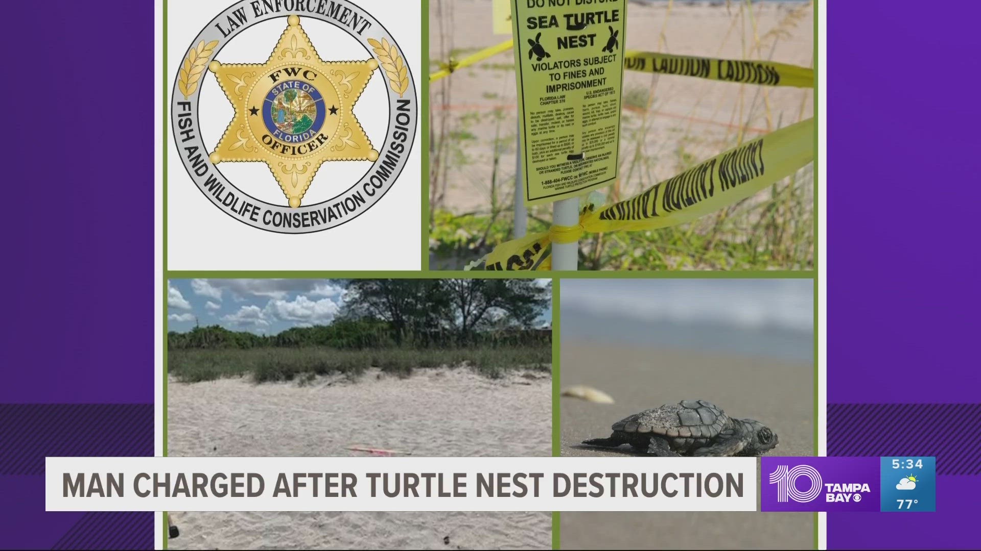 Authorities said the man was caught on video digging inside a marked sea turtle nest.