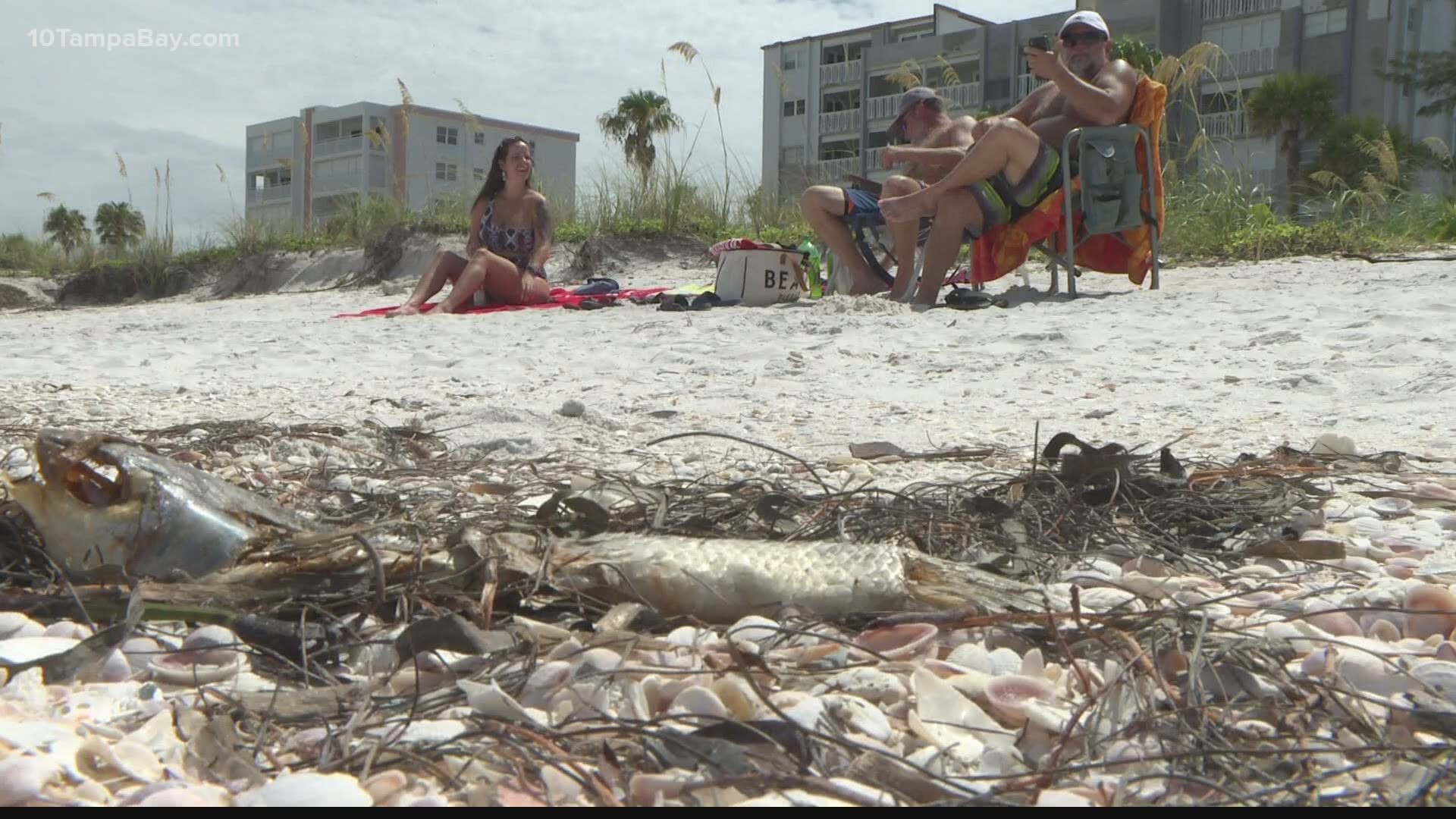 A beach hazards statement is in effect through Monday night because of red tide.
